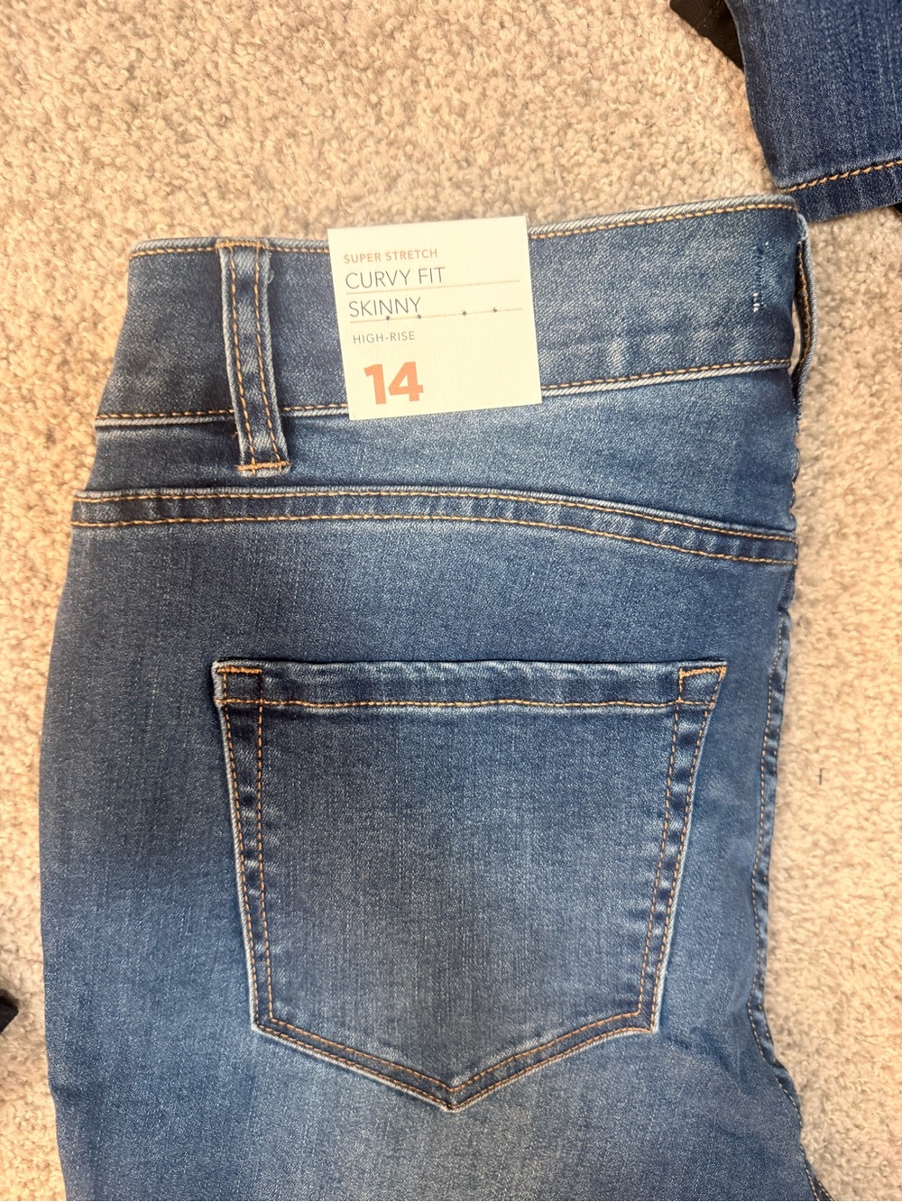 Lane Bryant Curvy Fit High-Rise Skinny Jeans - Blue Wash